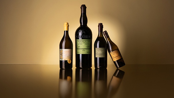 Rapport d'enchères - Ventes novembre 2025